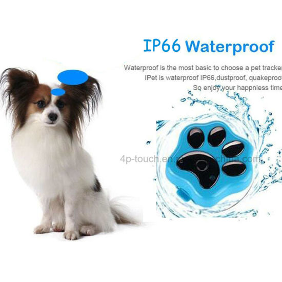 IP66 Waterproof Real Time Position Locator 2G Dog Tracking Device 