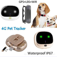 //imrorwxhjijrlk5o.leadongcdn.com/cloud/lpBqkKqqRlqSnkjmjinq/Pets-GPS-Tracking-with-Pet-Findling-LED-Light0.jpg