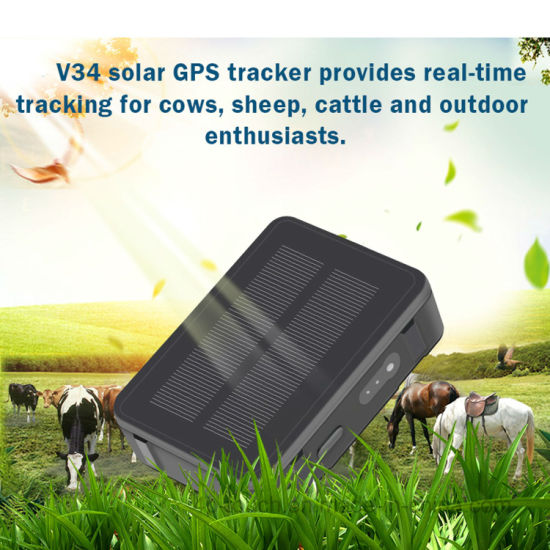 2G Waterproof Solar Power Vehicle GPS Tracker with Geo-fence Alarm Alert
