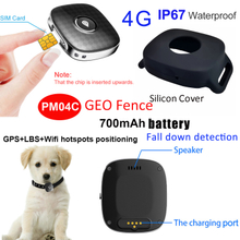 Newest IP67 Waterproof 4G Tiny Safety Real Time Google Map Hidden Pets GPS Tracker Device with Voice monitor for Dog Cat PM04C