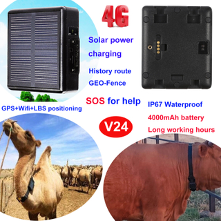 4G IP67 Waterproof Cow cattle GPS Tracking Device V24