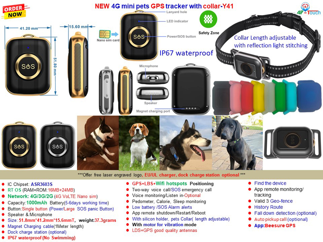 Y41 pets
