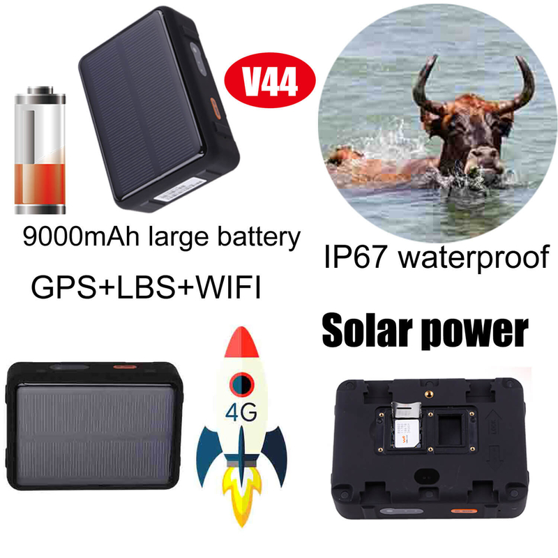 4G Solar Power Animal Cow sheep GPS Tracker with long battery life V44