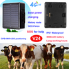 4G Sheep horse GPS Tracker with Cow large collar V24