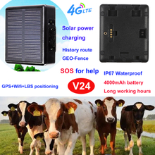 4G Sheep horse GPS Tracker with Cow large collar V24