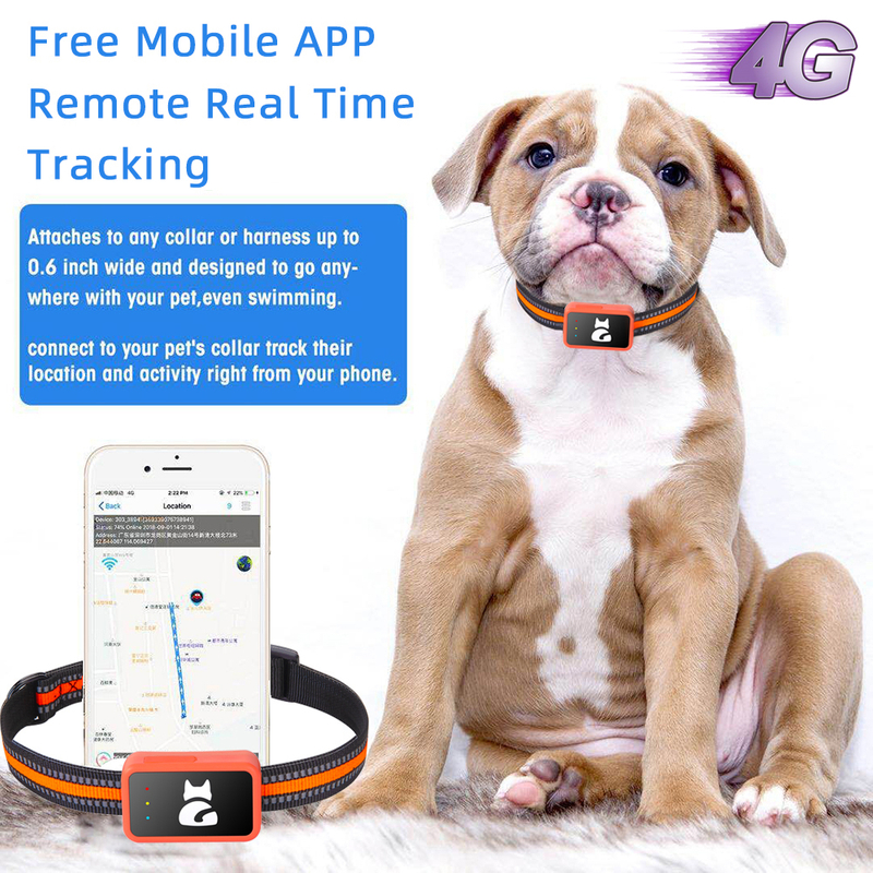 4G IP65 waterproof dog pets realtime tracking GPS device with vibration alarm Y35