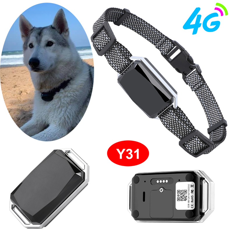 4G IP67 waterproof portable dog pets GPS tracker device with Geo-fence Y31