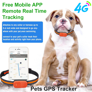 Waterproof pet tracker GPS 4G LTE animal tracking device with free mobile APP Y33