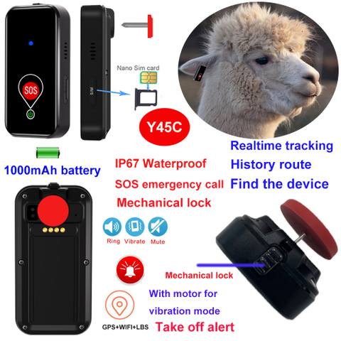 4G livestock ear tag tracker gps with realtime tracking Y45C