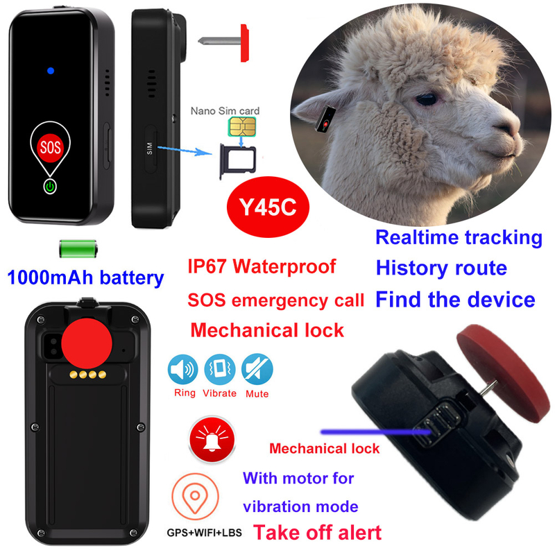 4G livestock ear tag tracker gps with realtime tracking Y45C