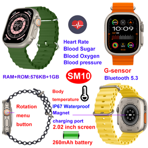 IP67 waterproof bluetooth smart band with HR BP SPO2 sport mode SM10