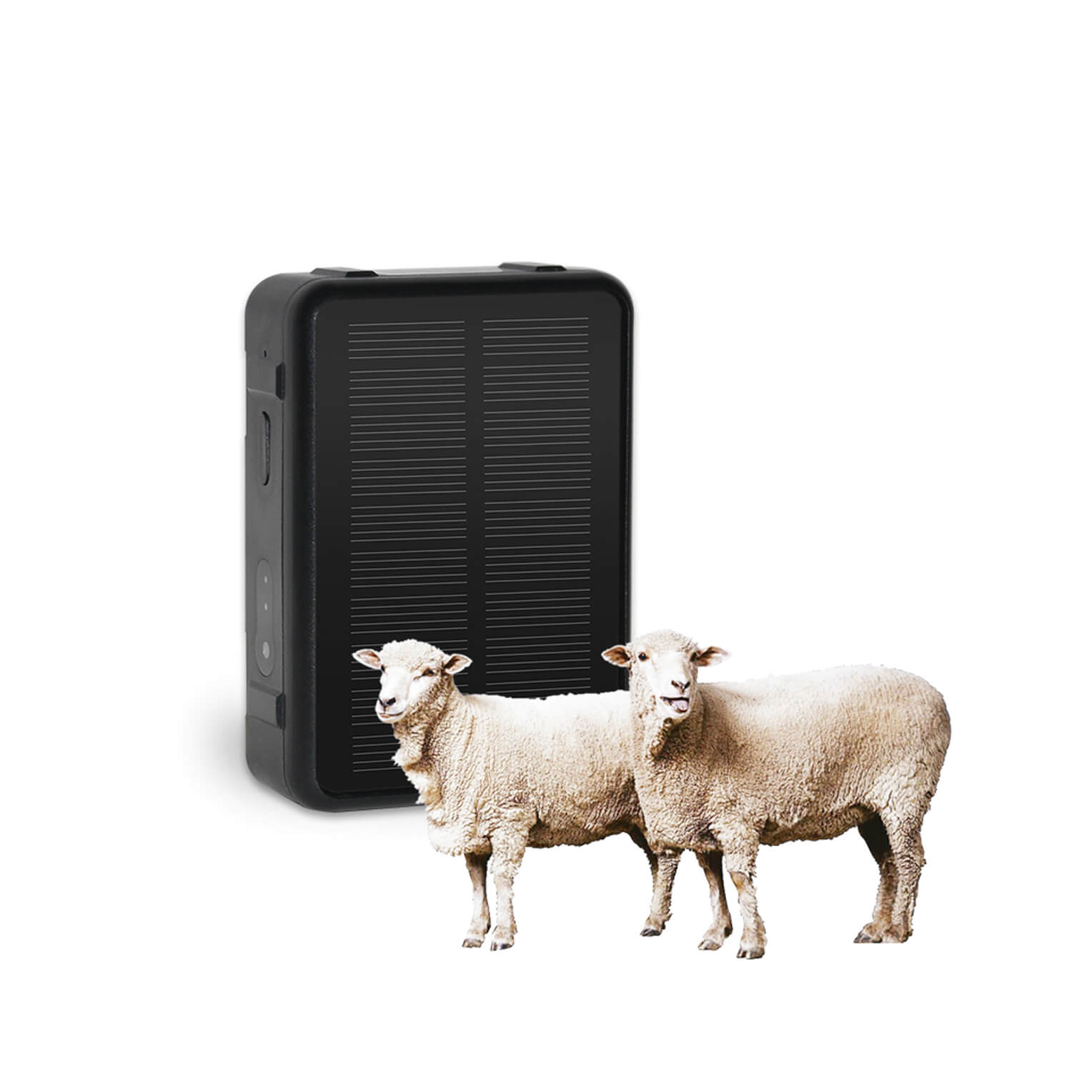 4G LTE Solar Charging Cow Cattle Tracker GPS V44