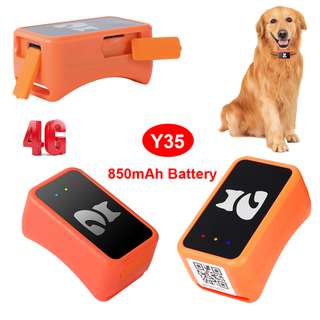 4G IP65 waterproof dog pets realtime tracking GPS with Geo-fence Y35