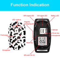 Waterproof LTE 4G GPS pet tracker for dog animal anti-lost real time pet tracking Y34